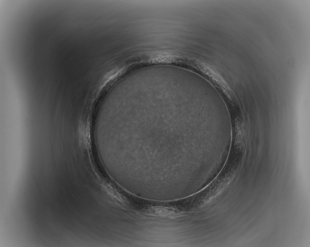 X0000115410681200911101612