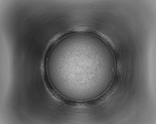 X0000115410682200911101612