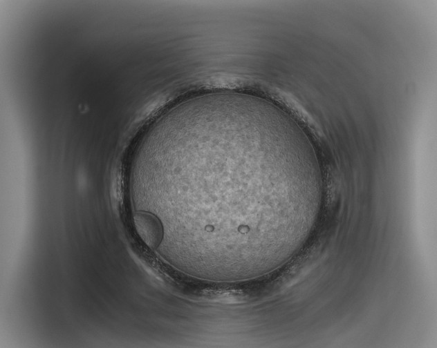 X0000115410683200911101612