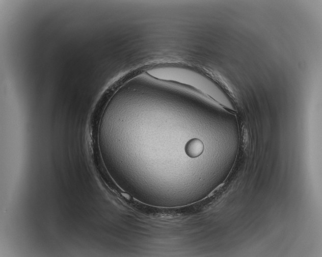 X0000115410684200911101612