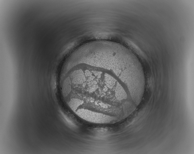 X0000115410687200911101612