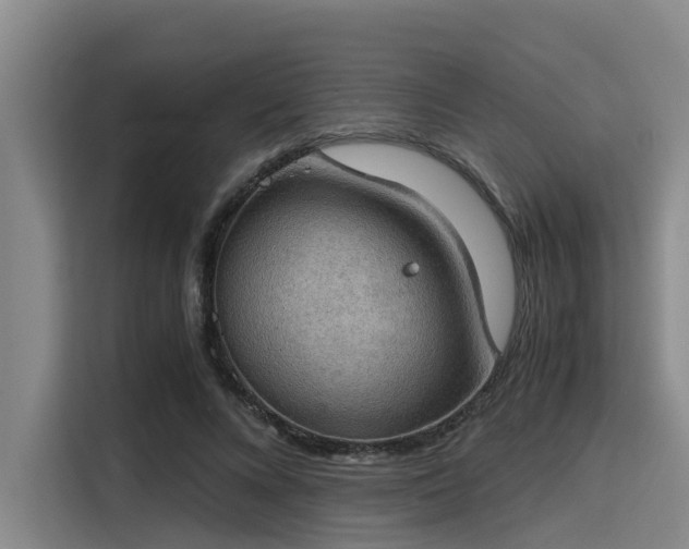 X0000115410688200911101612