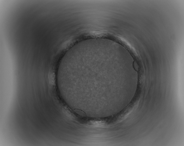 X0000115410689200911101612