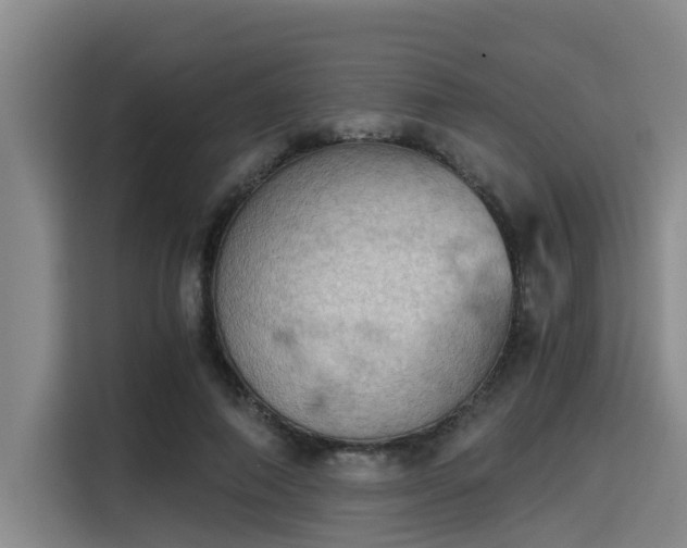 X0000115410690200911101612
