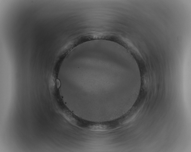 X0000115410691200911101612