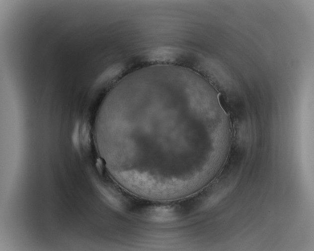 X0000115410692200911101612