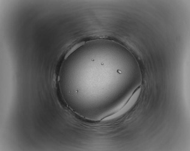 X0000115410693200911101612