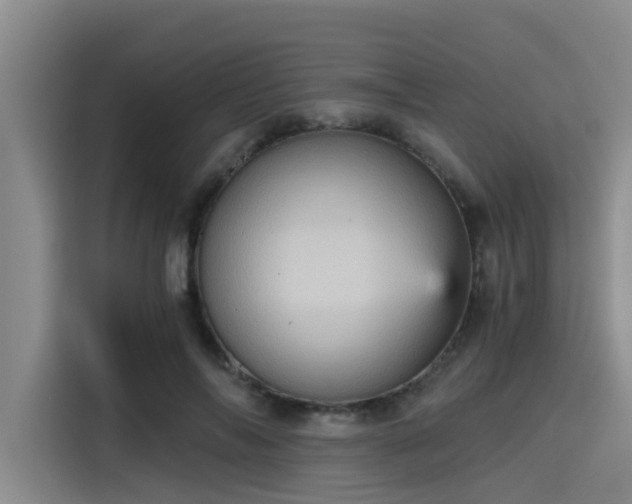 X0000115410694200911101612