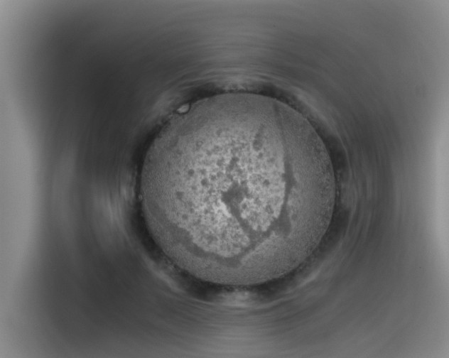 X0000115410695200911101612