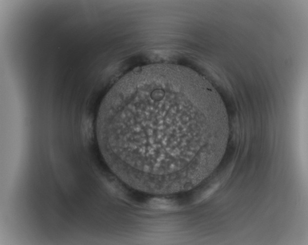 X0000115410699200911101611