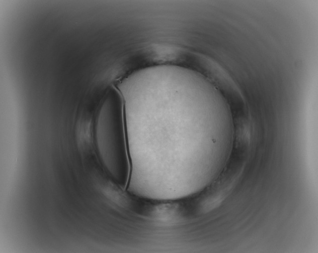 X0000115410700200911101611