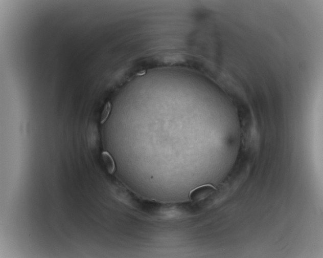 X0000115410704200911101611