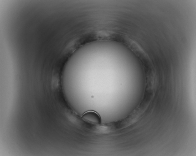 X0000115410706200911101611