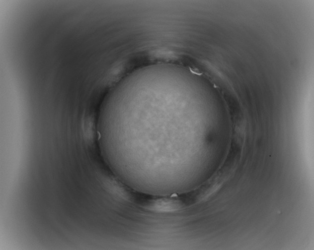 X0000115410708200911101611