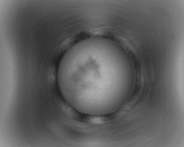 X0000115410710200911101611