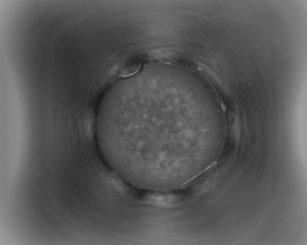 X0000115410712200911101611