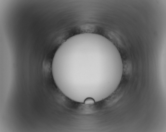 X0000115410713200911101611