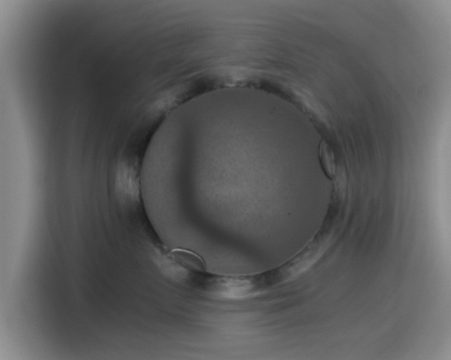 X0000115410719200911101611