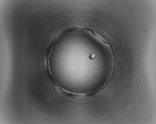 X0000115410720200911101611