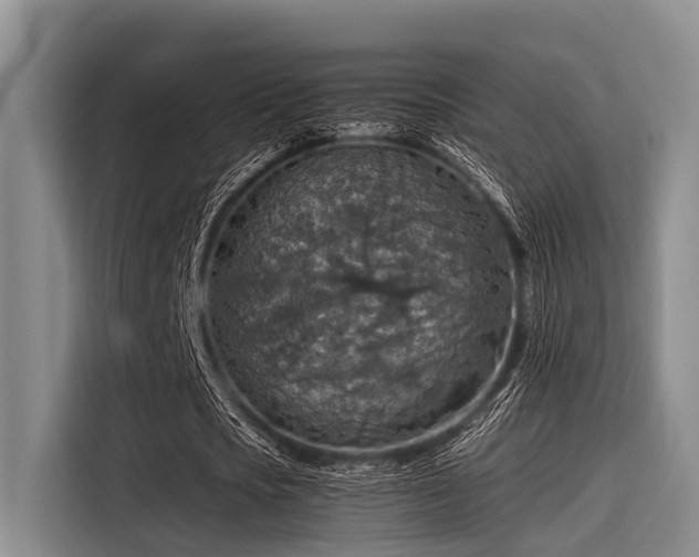 X0000115410721200911101611