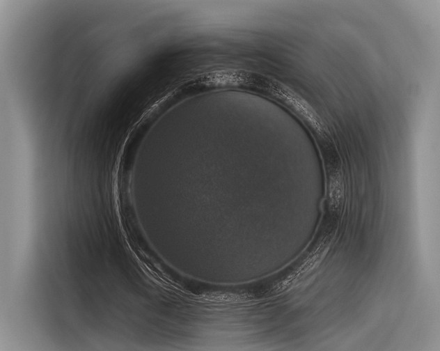 X0000115410722200911101611