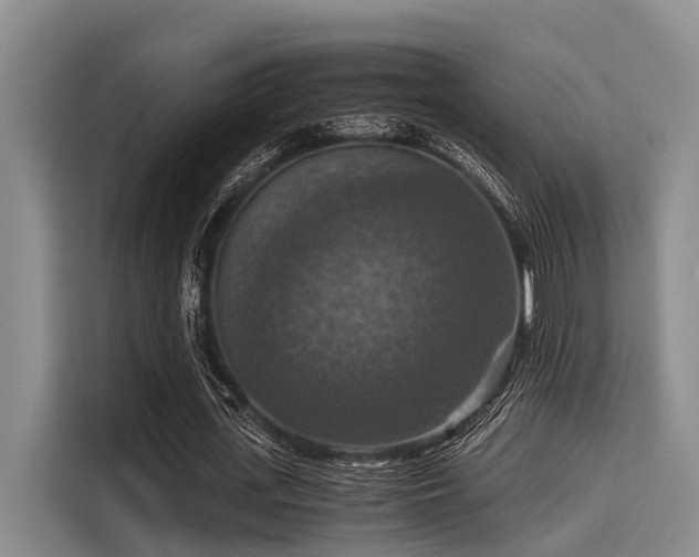 X0000115410723200911101611
