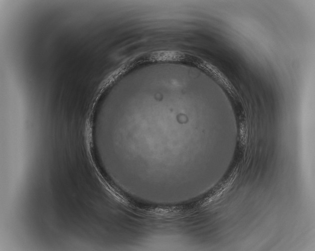 X0000115410725200911101611