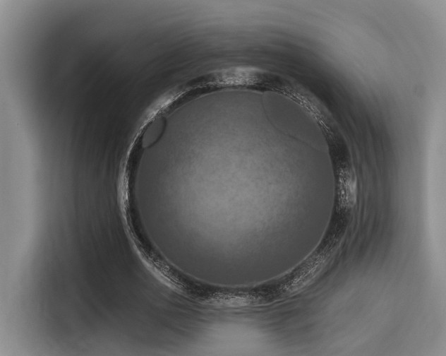 X0000115410726200911101611