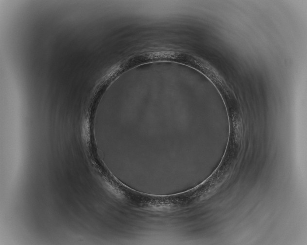X0000115410729200911101611