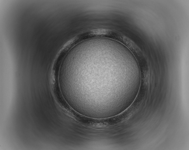 X0000115410731200911101611