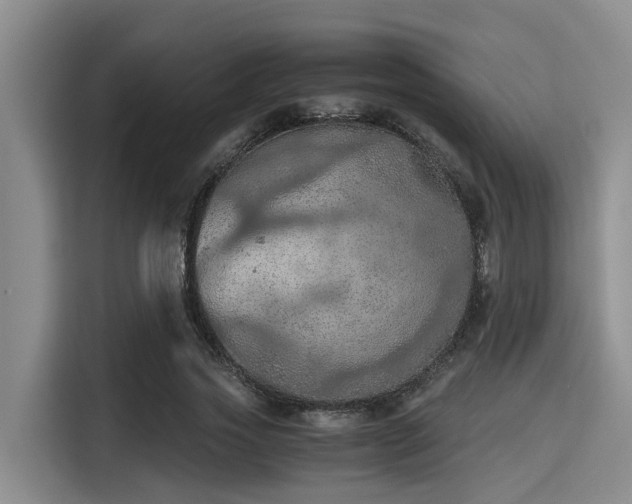 X0000115410733200911101611