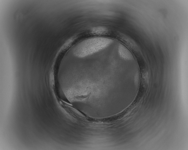X0000115410734200911101611