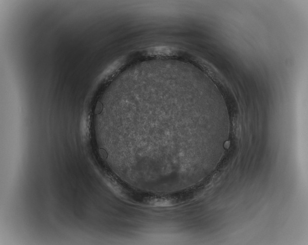 X0000115410735200911101611