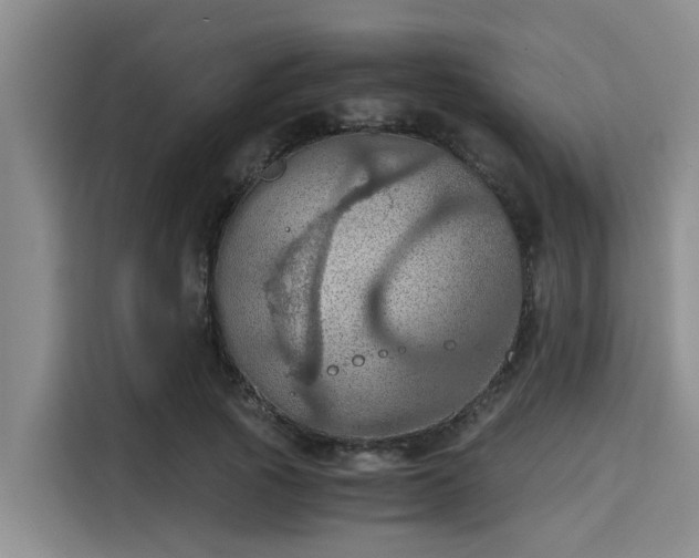X0000115410737200911101611