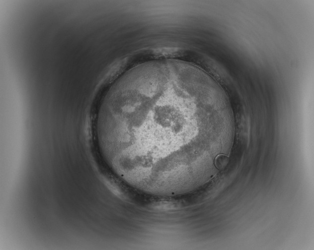 X0000115410738200911101611