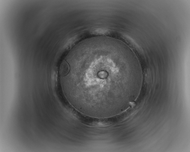 X0000115410739200911101611