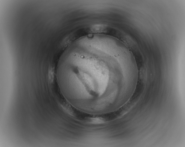 X0000115410741200911101611