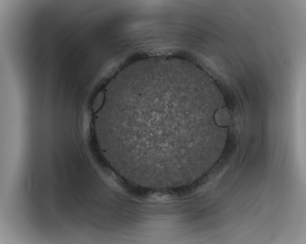 X0000115410742200911101611