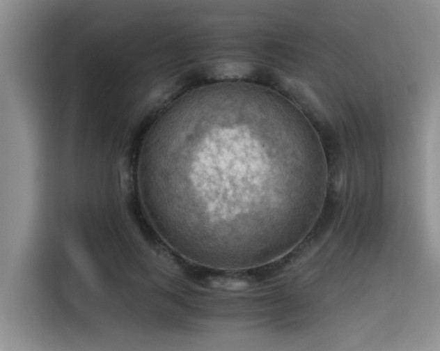 X0000115410743200911101611