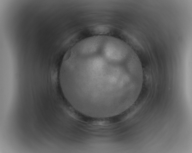 X0000115410745200911101611