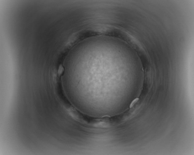 X0000115410750200911101611