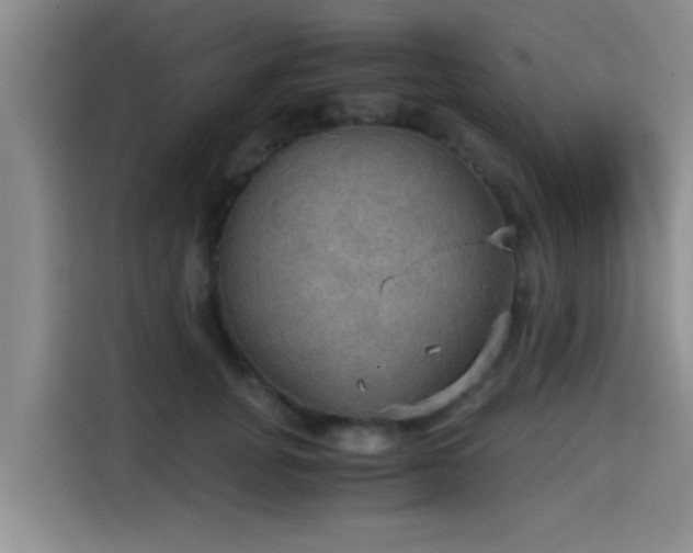 X0000115410751200911101611