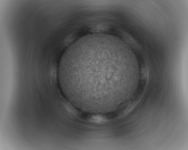 X0000115410753200911101611