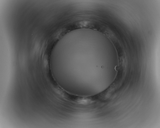 X0000115410754200911101611