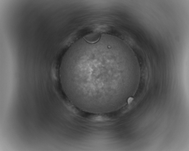 X0000115410755200911101611