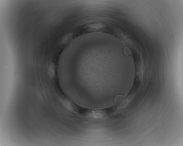 X0000115410758200911101611