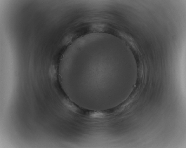 X0000115410759200911101611