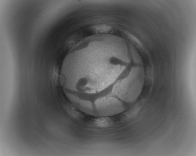 X0000115410761200911101611