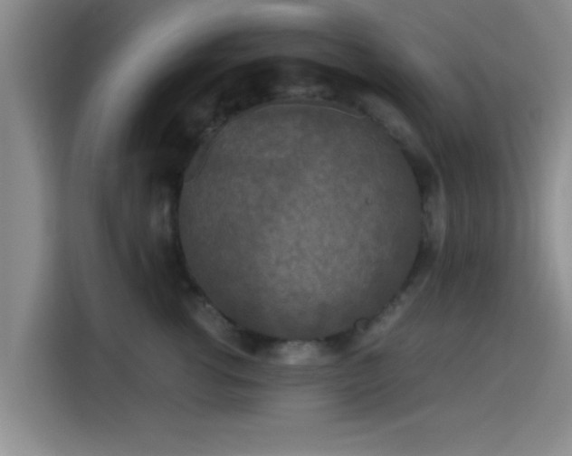 X0000115410762200911101611