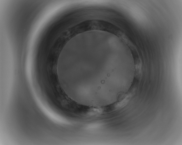 X0000115410765200911101611